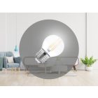 LED Filament 4W - G45 / E27 / 4000K - ZLF827