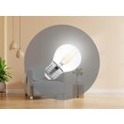 LED Filament 6W - G45 / E27 / 4000K - ZLF828